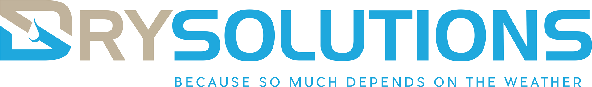 drysolutions logo