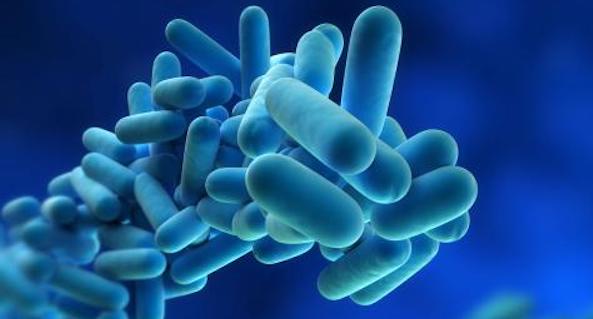 Legionella-3 Local Law 77 Requirements